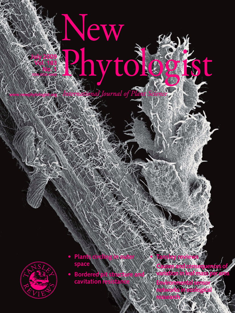 2009_new_phytologist_cover1.jpg