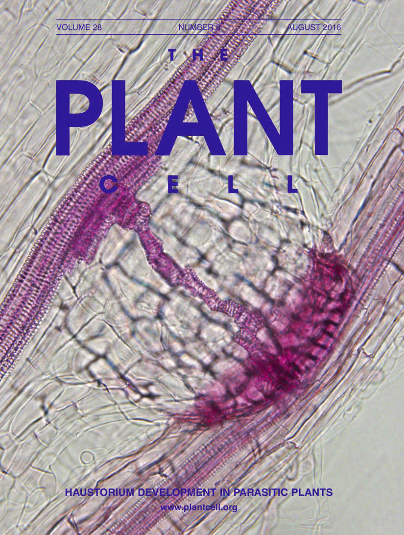 plant_cell_august_2016_cover.jpg